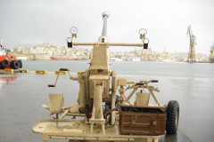 bv01316